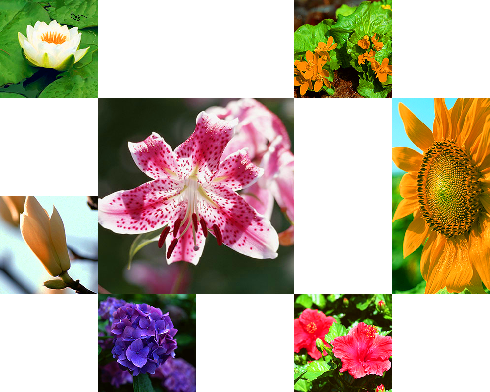 キーヴィジュアル画像