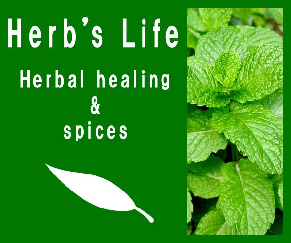 Herbal lifeの広告バナー